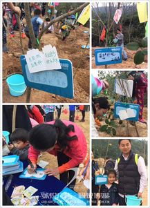 碧桂園植樹節 佩悅傳媒以專業公關策劃，賦能綠色品牌行動