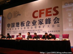 奇致品牌全程策劃，2011中國地板企業家峰會盛典圓滿落幕